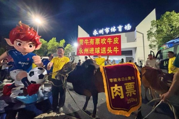 湘超永州队胜出当地网红“牛扣哥”要送6头牛？当事东说念主回话：正在雷同具体补救花样